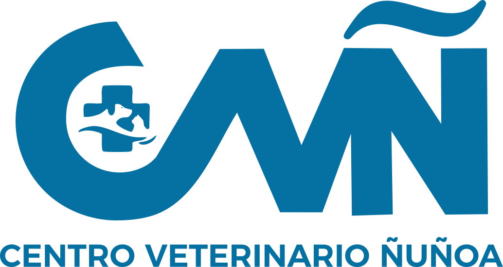 branding logo